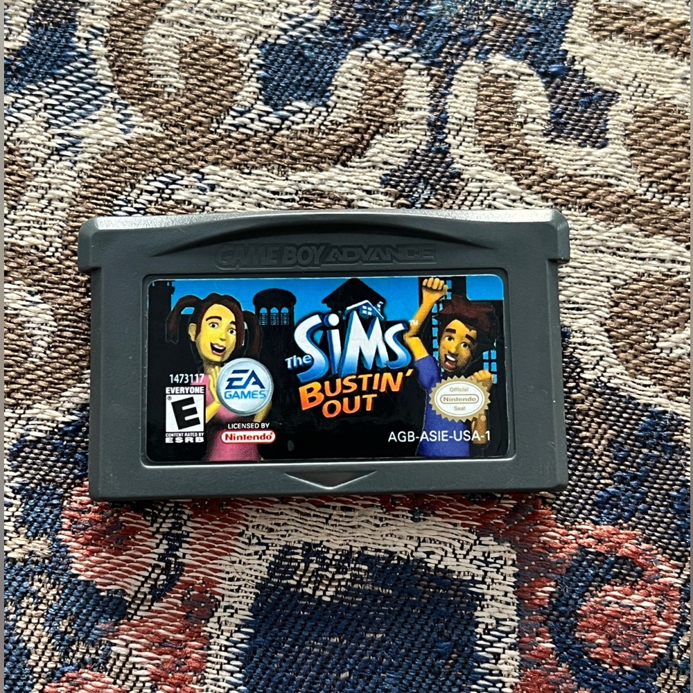 Nintendo gameboy Sims bustin’ out